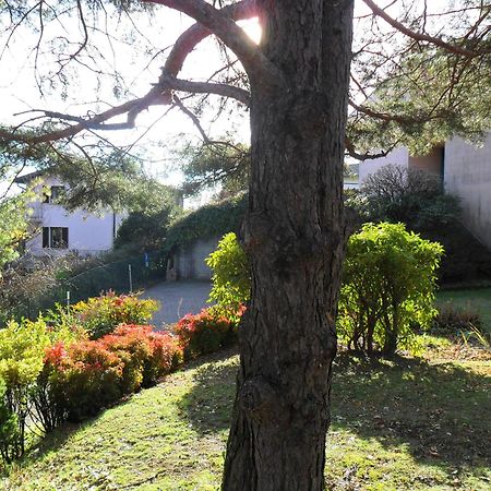 I Tre Faggi Apartment Albese Con Cassano ภายนอก รูปภาพ